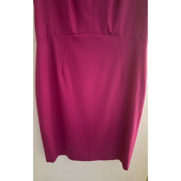 Ann Taylor Magenta Sleeveless Fitted Sheath Dress Size 8 - Picture 5 of 6